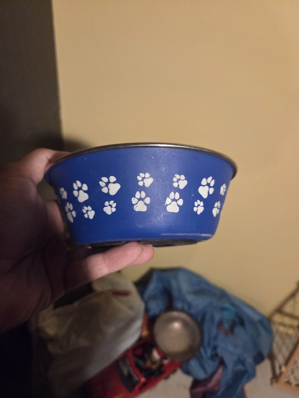 Blue Stainless Steal Pet Bowl